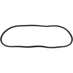 Chevrolet Parts -  Chevrolet Car Back Glass Rubber - Bel Air, 210 2 and 4-Door With Moulding